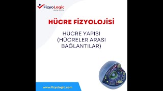 FİZYOLOGİC HÜCRE FİZYOLOJİSİ / HÜCRE YAPISI-8 (HÜCRELER ARASI BAĞLANTILAR)