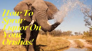 How To Spray Liquor On Your Orisha’s! 🐘🍾⛲️