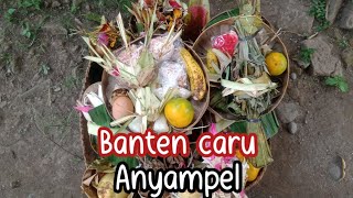 Runtutan banten caru