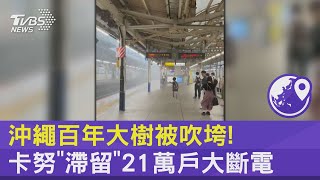 沖繩百年大樹被吹垮! 卡努「滯留」21萬戶大斷電｜十點不一樣20230802 @internationalNewsplus