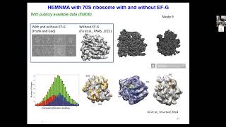 OWCryoEM 03/24: Slavica Jonic