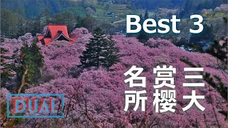 日本三大樱花名所/Three famous Hanami places in Japan