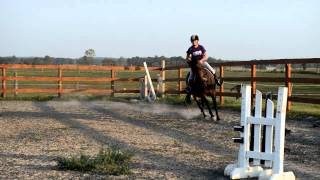 Boudica cantering with Hailey