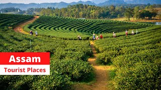 আসামের শীর্ষ 16 পর্যটন স্থান [Top 16 Assam Tourist Places] Top Tourist Places In Assam