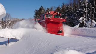 2021/01/17 雪362レ JR北海道 宗谷本線 咲来～天塩川温泉 宗谷ラッセル