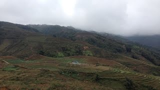 ベトナムはサパの美しい棚田の風景  Thị trấn Sa Pa, Vietnam