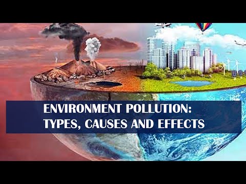 Which of the following is an important activity in the prevention of pollution?