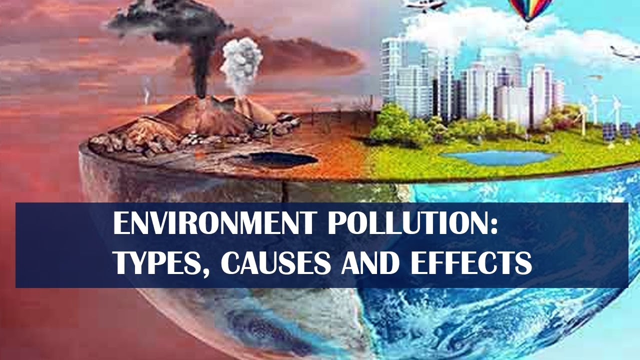 Environment Pollution: Types, Causes And Effects (infographic) - YouTube