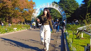 [4K] 代々木公園の秋バラと渋谷フェスティバル (2024年11月)