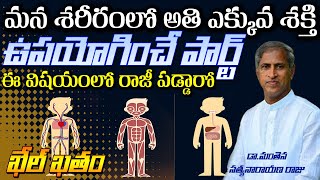 మన Body లో More Energy ఉపయోగించేది? | ఈ విషయంలో రాజీ వద్దు! | Dr Manthena Satyanarayana Raju