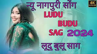 LUDU BUDU SAG//FULL SONG 2024// XALXO MUSIC//NEW NAGPURI 2024
