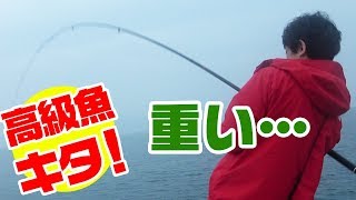 【堤防で1泊2日】1つの堤防で15種類を超える釣行‼#5