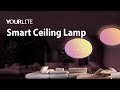 YOURLITE Dimmable RGB Smart WIFI Ceiling Light | For household