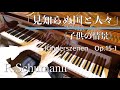 R.シューマン：「見知らぬ国」《子供の情景》　R.Schumann ”Von fremden Ländern und Menschen”　Kinderszenen op.15-1　SHUMPEI演奏