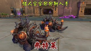 魔兽世界：猎人宠物分分钟入手【弗特莱】