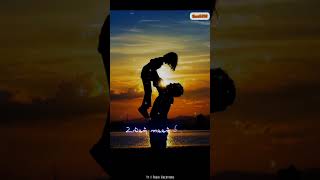 💐 💗 இரு  நெஞ்சம் இணைந்து பேசிட உலகில் அப்பா 💗 💐 WhatsApp status tamil subscribe 👍