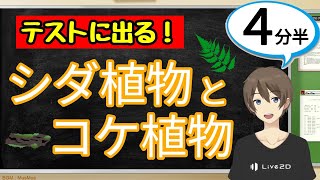 シダ植物とコケ植物（植物と動物の分類）【中1理科わかりやすい授業動画】