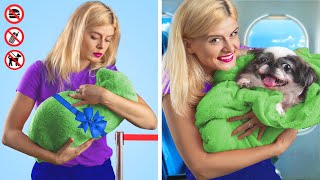 15 Formas de Escabullir Mascotas a un Avión