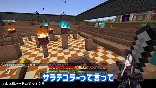 【初心者】マイクラで大奮闘の儒烏風亭らでん！