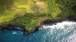 TA'AKIMOEAKA (ANGAHA) FOTU E LAUIAFE