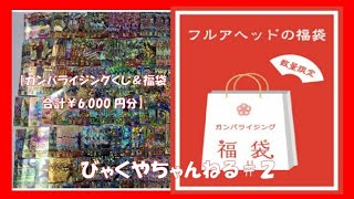 【即完売‼ガンバライジングくじ\u0026福袋合計6000円分開封レビュー‼( ≧∀≦)ノ】フルアヘッドさん ＃2