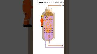 Urea reactor. Training. Fertilizer Academy \u0026 UreaKnowHow