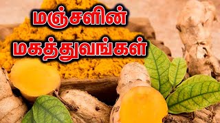 மகத்தான மருத்துவ குணங்கள் நிறைந்த மஞ்சள்