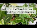 Gabriella Plants Houseplant Haul & Unboxing! | Gabriellaplants.com Unboxing & Review