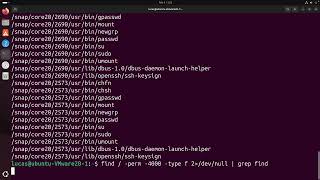 Linux Privilege Escalation: Abusing SUID Binaries to Become Root