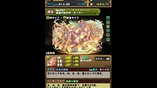 【パズドラ】レアキャラ大量発生超地獄級光カーリー