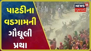 પાટડી : અહીં નવા વર્ષનાં દિવસે દોડતી ગાયોની લેવાય છે રજ, અનોખી પરંપરા