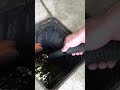 Garage Drain Maintenance