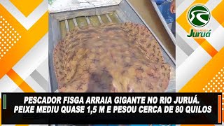 Pescador fisga arraia gigante no rio Juruá. Peixe mediu quase 1,5 m e pesou cerca de 80 quilos