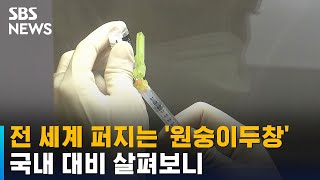 원숭이 두창, 유사 시 '신속 · 대량 접종' 가능 / SBS