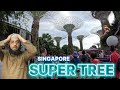 Explore Singapore: Garden By the Bay Tour