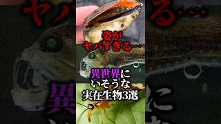 姿がヤバすぎる…異世界にいそうな実在生物3選【ゆっくり解説】