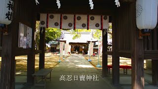 日本で唯一の高忍日賣神社を散策　Takaoshihime Shrine the only shrine in Japan.