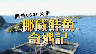 鏡食旅》飛越九千公里　挪威鮭魚奇遇記