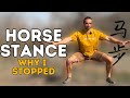 Why I Stopped Training The HORSE STANCE & Answering Common Questions