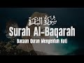 Surah Al Baqarah سورة البقرة  Dengan Suara Indah Membuat Hati Tenang