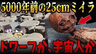 【ゆっくり解説】本当に存在していた超古代のミイラ！5000年前の25㎝ミイラと800万年前の美女ミイラの正体とは！？