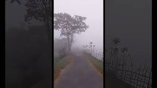 কুয়াশা ঘেরা এই সকাল (This morning is surrounded by fog)। #shorts #youtubeshorts