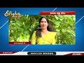 ലോക മുള ദിനം സൗമ്യ എസ് നായർ every day special day janam tv