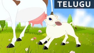 Thotalona Tela Aavu - Bala Anandam - Telugu Nursery Rhymes/Songs For Kids