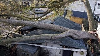 Ontario wind storm leaves at least two dead