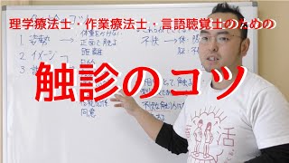 理学療法士・作業療法士のための触診のコツ