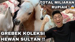 GREBEK KOLEKSI HEWAN TOTAL MILIARAN RUPIAH ! KOLEKSI HEWAN SULTAN ! SEMUANYA UNIK DAN LANGKA !