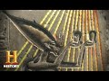 Ancient Aliens: The Tomb of the Alien Pharaoh (Season 12) | History