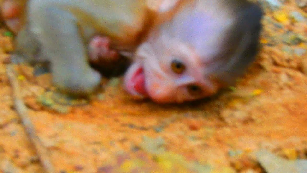 Training Good Lesson Youtube