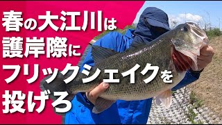 【大江川】春のフリックシェイクはヤバいぞ